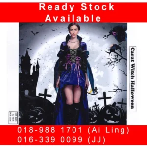 Halloween Witch Adults